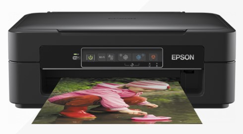 Epson XP-245 Software, Install Manual, Drivers Download