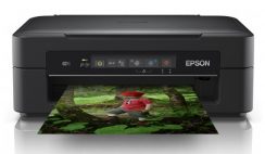 Epson XP-255 Drivers Download and Software, Install, Setup